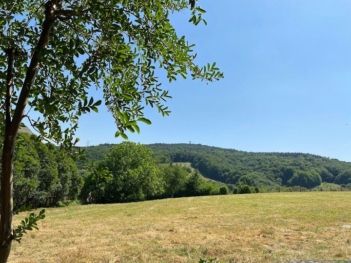 Fotoğraf 40