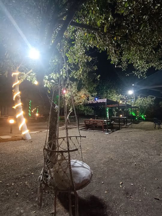 Fotoğraf 13
