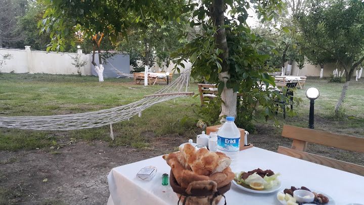 Fotoğraf 14