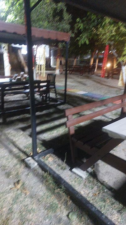 Fotoğraf 17