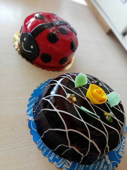 Fotoğraf 10