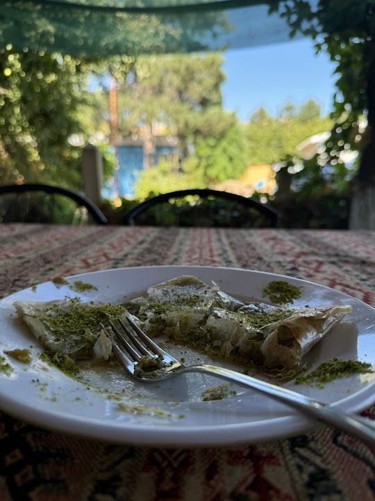 Fotoğraf 24