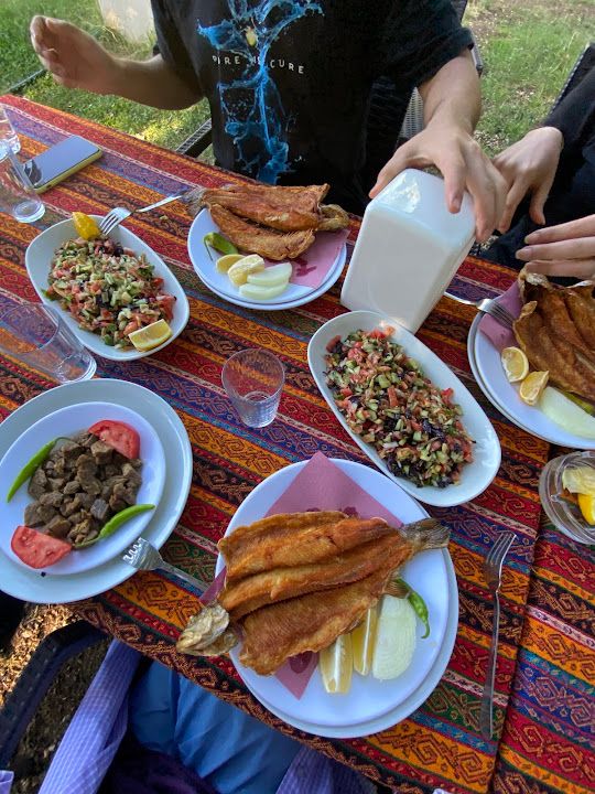 Fotoğraf 23