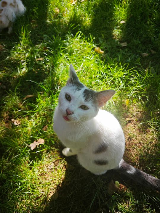 Yorum fotoğrafı 3