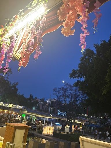 Fotoğraf 14