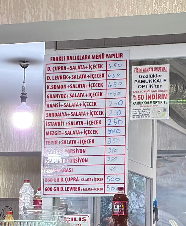 Fotoğraf 23