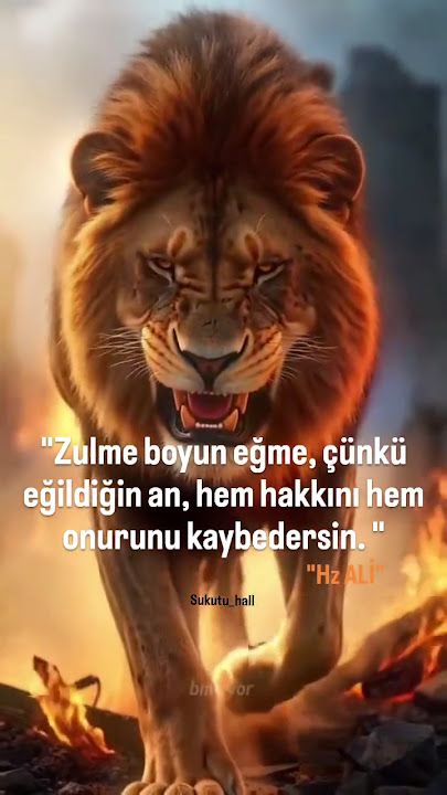 Fotoğraf 15