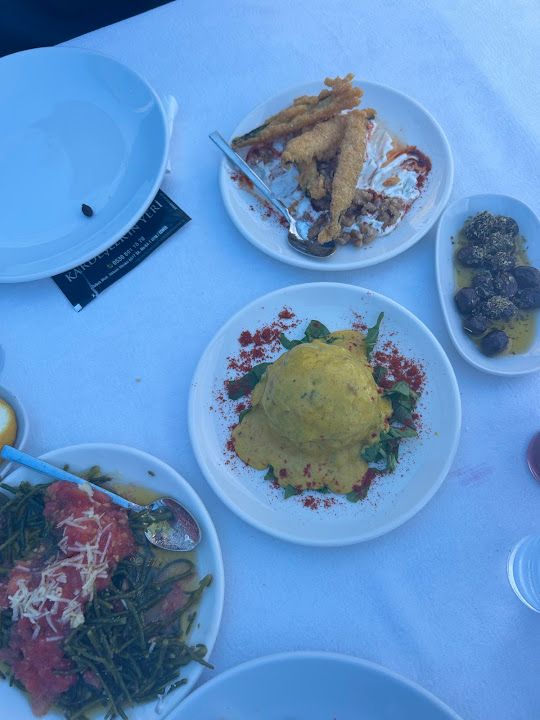 Fotoğraf 30