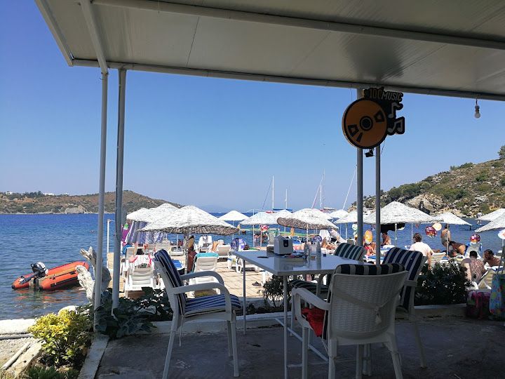 Fotoğraf 30