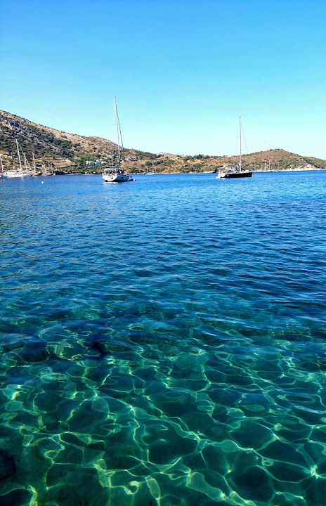 Fotoğraf 46