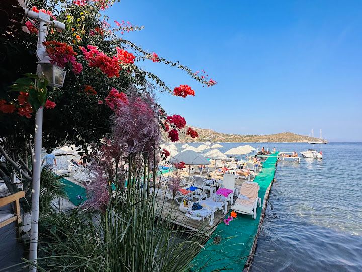 Fotoğraf 22