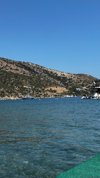 Fotoğraf 43