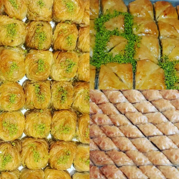 Fotoğraf 16
