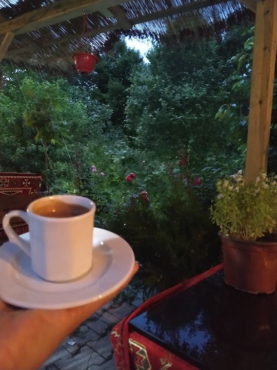 Fotoğraf 37