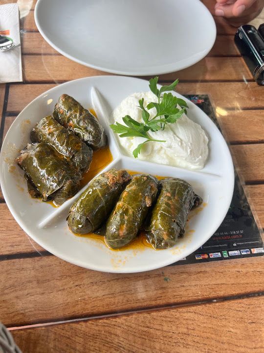 Fotoğraf 45