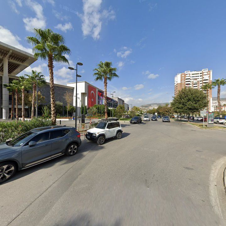 Fotoğraf 12