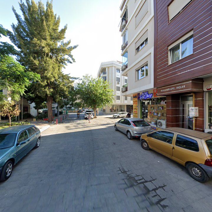 Fotoğraf 7