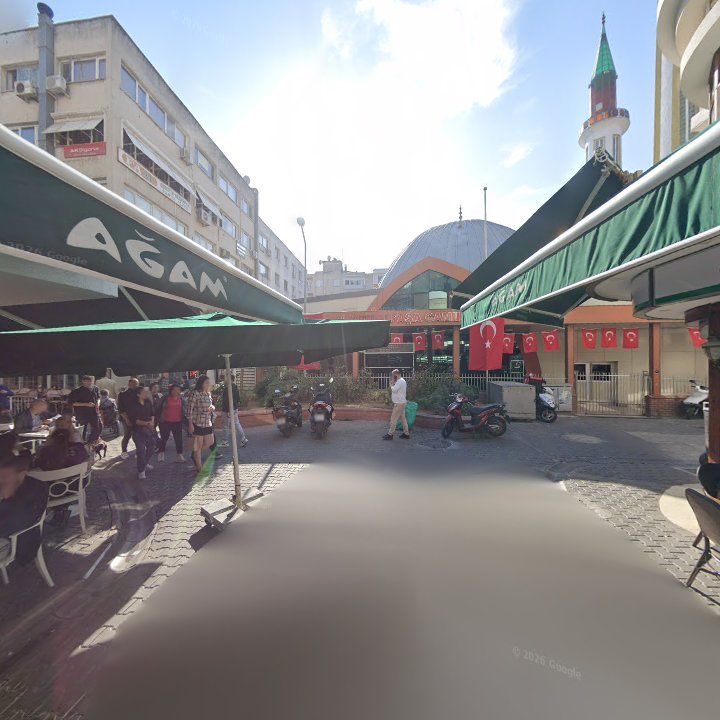 Fotoğraf 11