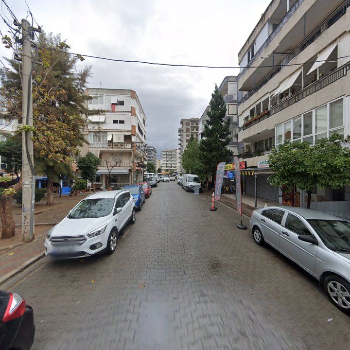 Fotoğraf 8