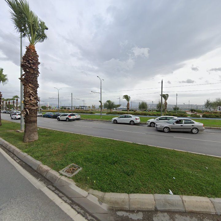 Fotoğraf 3