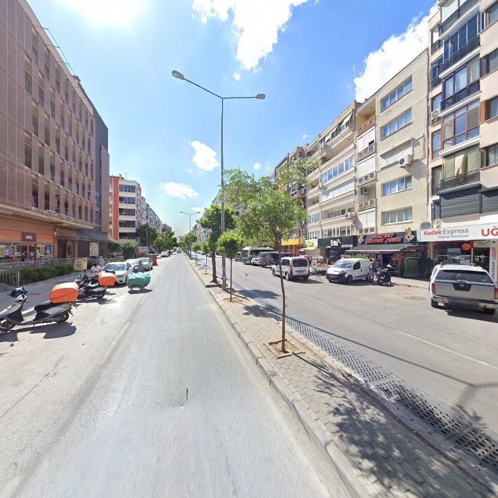 Fotoğraf 9