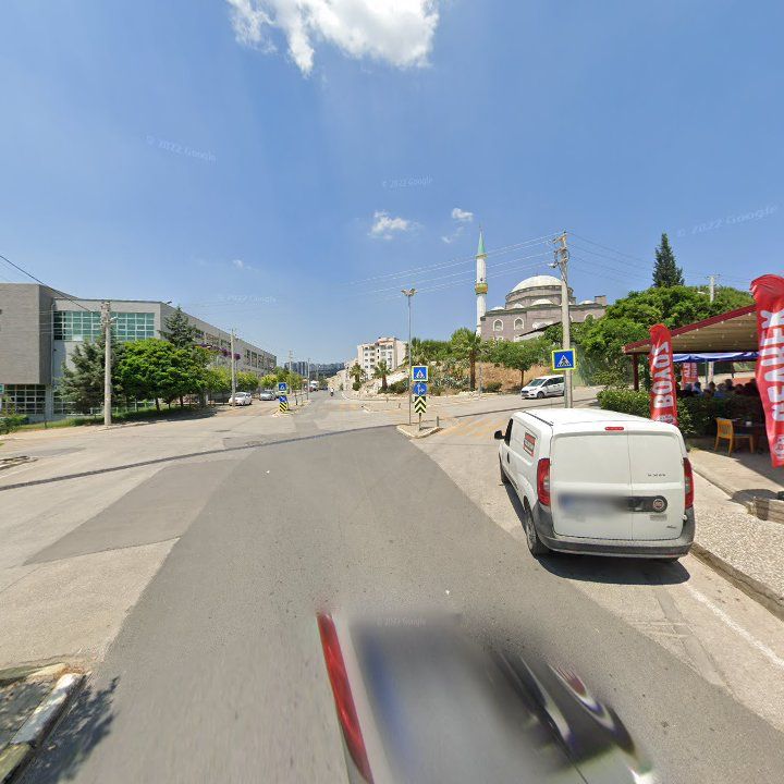 Fotoğraf 9