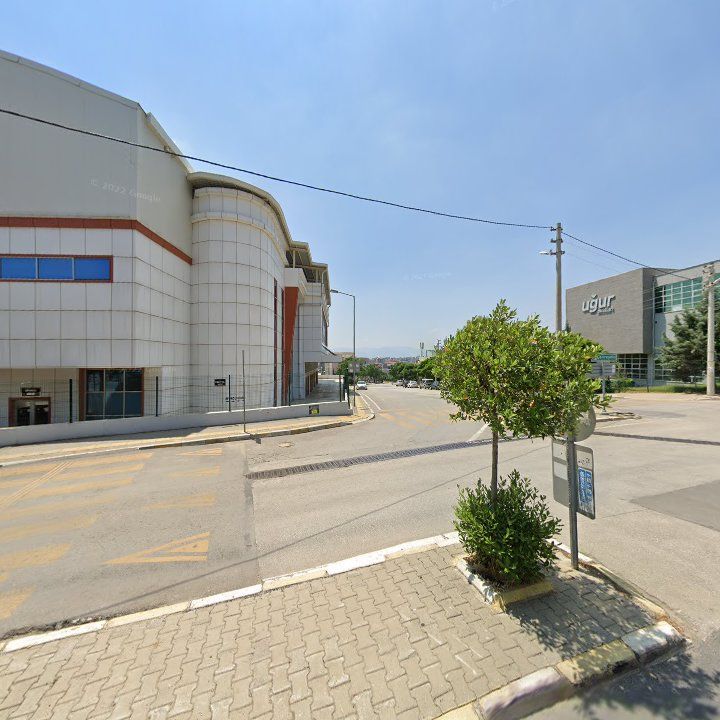 Fotoğraf 8