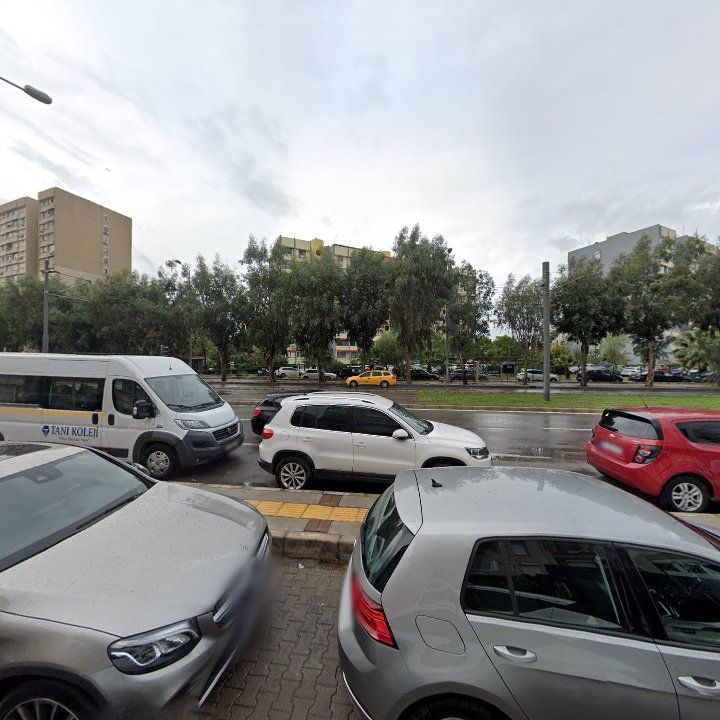 Fotoğraf 11