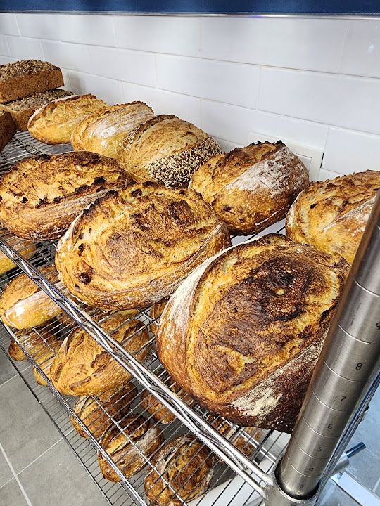 Alveoli Bake House