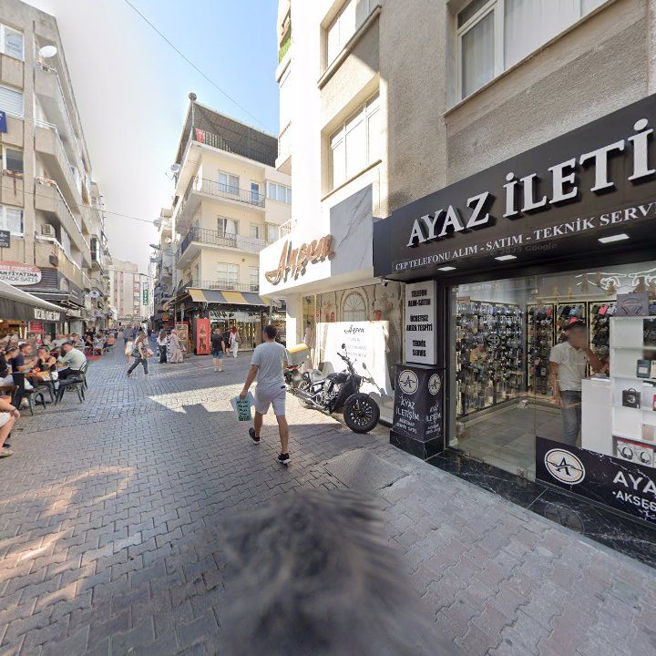 Fotoğraf 10