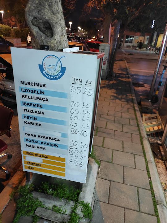 Fotoğraf 34