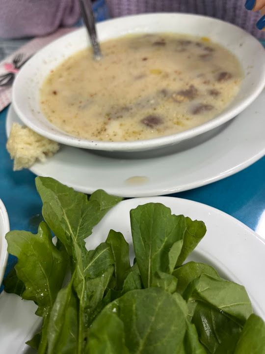 Fotoğraf 27