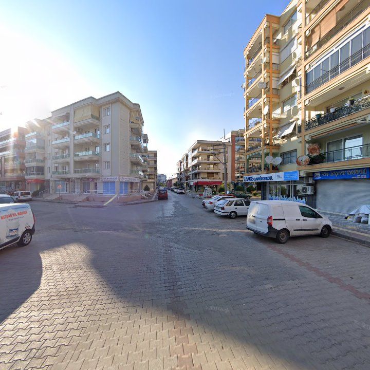 Fotoğraf 7