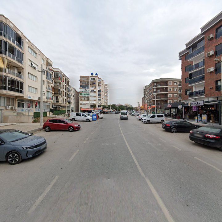 Fotoğraf 13