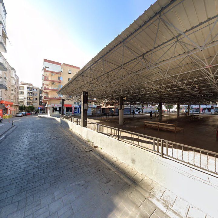 Fotoğraf 12