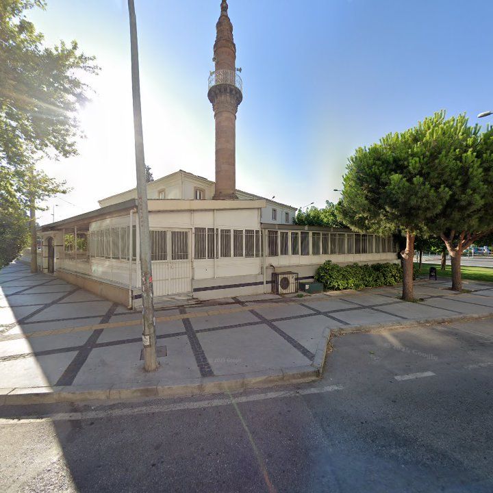 Fotoğraf 11