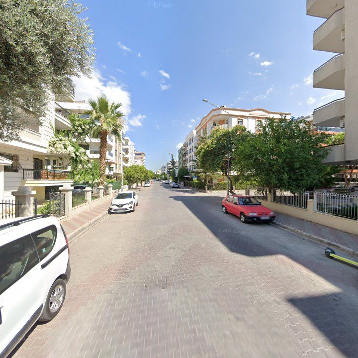 Fotoğraf 11