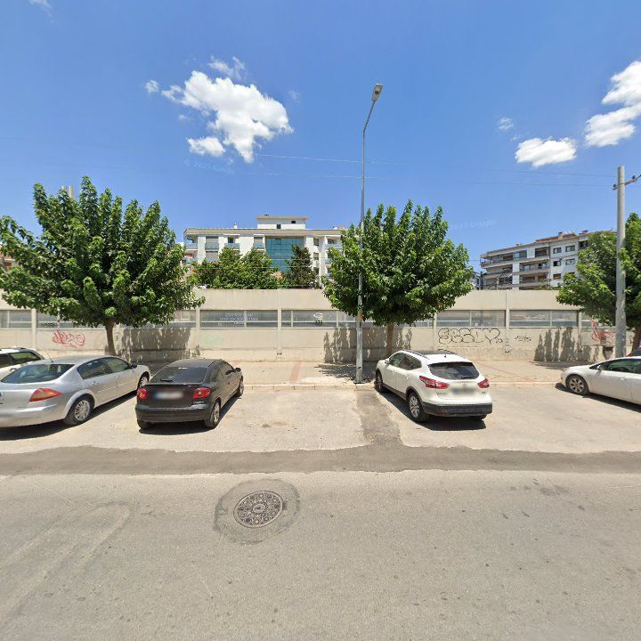 Fotoğraf 8