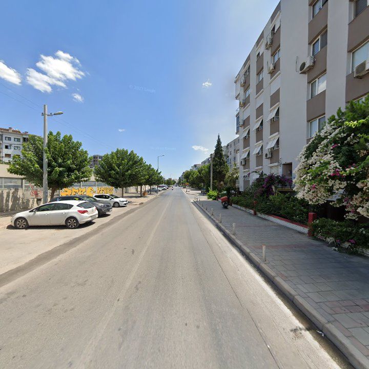 Fotoğraf 9