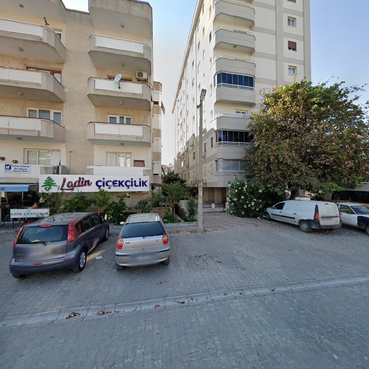 Fotoğraf 8