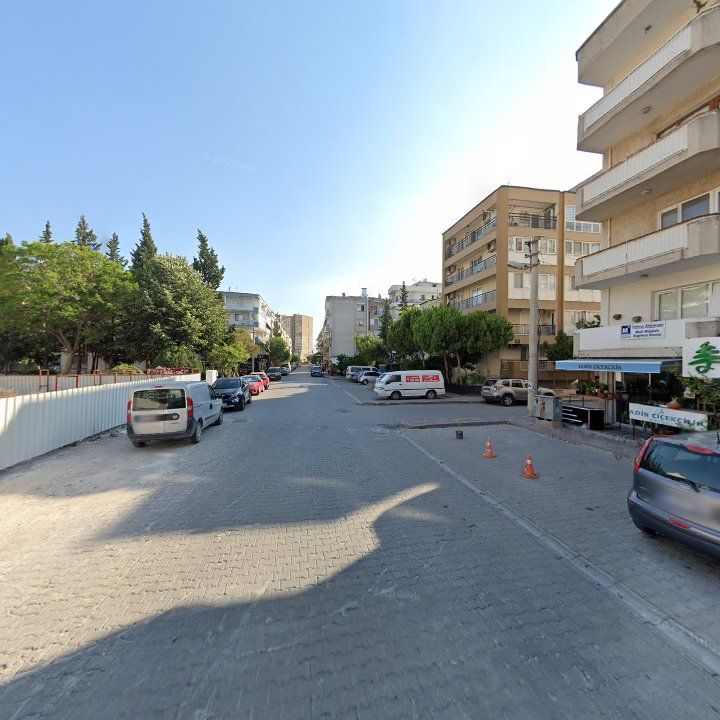Fotoğraf 7