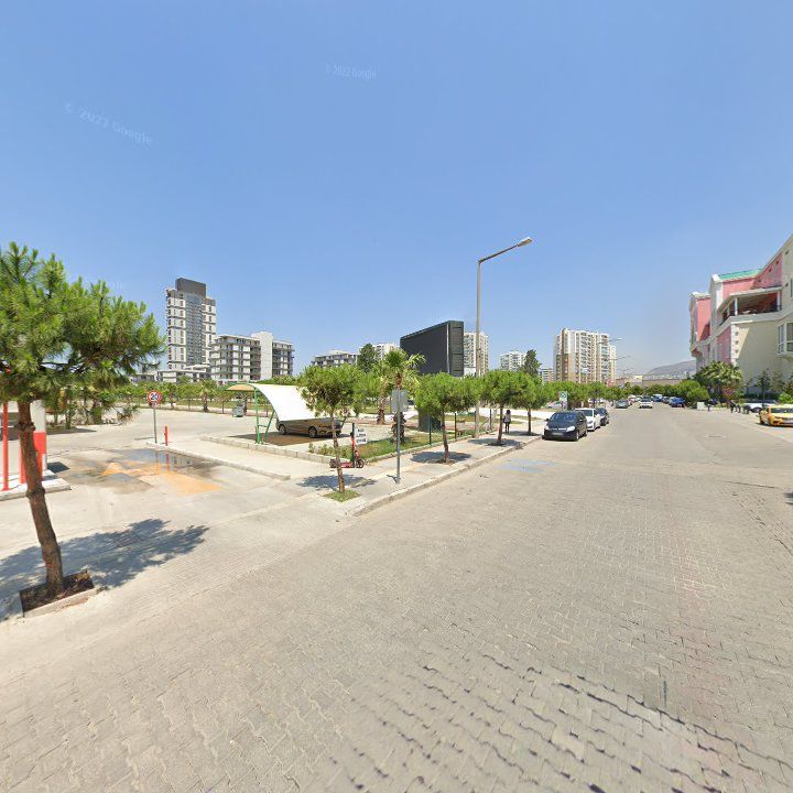 Fotoğraf 15