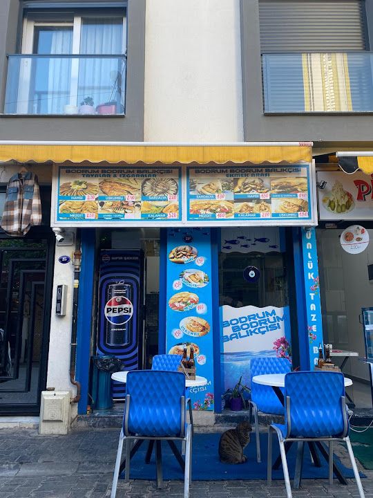 Bodrum bodrum balıkçısı