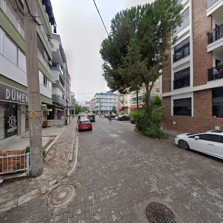 Fotoğraf 12