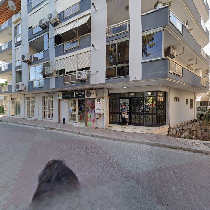 Fotoğraf 8