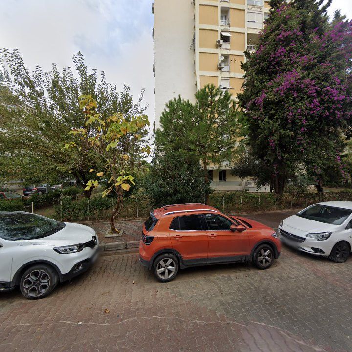 Fotoğraf 8