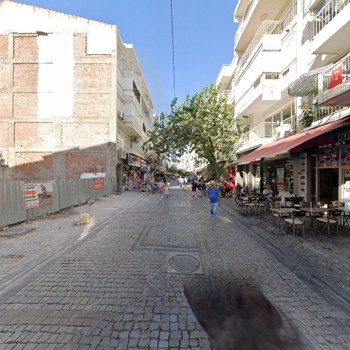 Fotoğraf 9