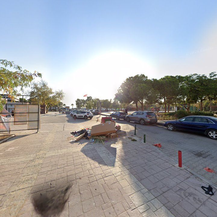Fotoğraf 7