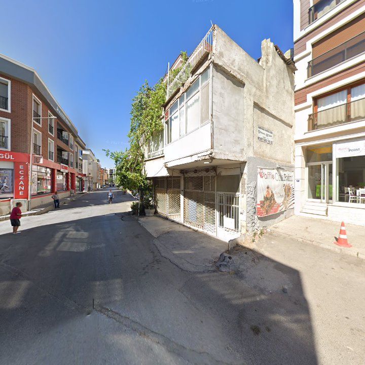 Fotoğraf 10