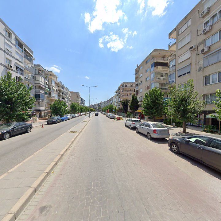 Fotoğraf 12